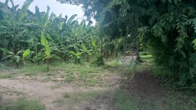 Land for sale in Don Yang, Phetchaburi