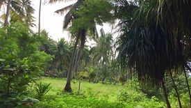 Land for sale in Bang Nam Chuet, Chumphon