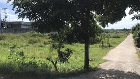 Land for sale in Tha Ngio, Nakhon Si Thammarat