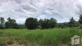 Land for sale in Wiang Nuea, Mae Hong Son