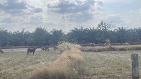 ขายที่ดิน ใน แก่งโดม, สว่างวีระวงศ์