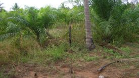 Land for sale in Ang Thong, Prachuap Khiri Khan