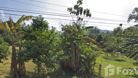 Land for sale in Ban Tai, Surat Thani