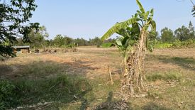 ขายที่ดิน ใน ชุมเห็ด, เมืองบุรีรัมย์