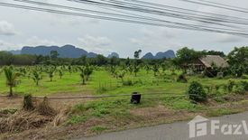 ขายที่ดิน ใน กระโสม, ตะกั่วทุ่ง