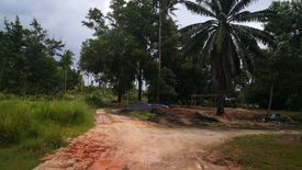 Land for sale in Phela, Krabi