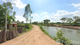 ขายที่ดิน ใน หนองโดน, จัตุรัส