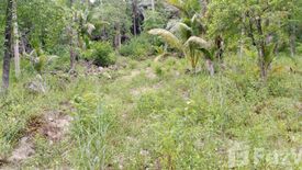 Land for sale in Ko Pha-ngan, Surat Thani