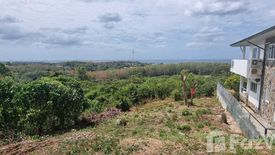 Land for sale in Sala Dan, Krabi