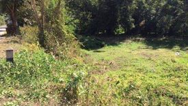 Land for sale in Mae Hi, Mae Hong Son