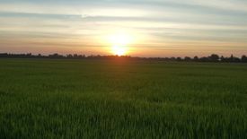 Land for sale in Bang Khanak, Chachoengsao