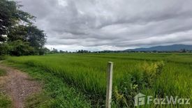 Land for sale in Thuem Tong, Nan