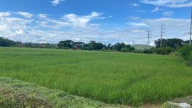 Land for sale in Nam Pua, Nan