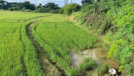 ขายที่ดิน ใน น้ำปั้ว, เวียงสา