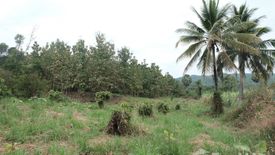 Land for sale in Dong Khu, Sukhothai