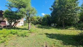 Land for sale in Nong Khon, Ubon Ratchathani