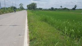 Land for sale in Kao Liao, Nakhon Sawan