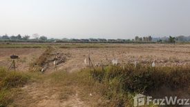 Land for sale in Mae Khao Tom, Chiang Rai