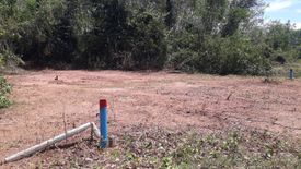 Land for sale in Khuan Lang, Songkhla