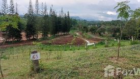 Land for sale in Thung Samo, Phetchabun