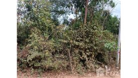 Land for sale in Rai Noi, Ubon Ratchathani