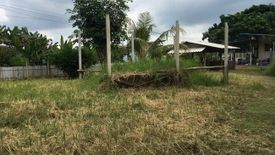 Land for sale in Huai Phai, Ratchaburi