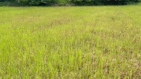 Land for sale in Ko Kha, Lampang