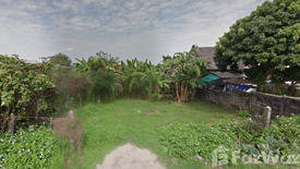 Land for sale in Rop Wiang, Chiang Rai