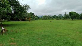 Land for sale in Pa O Don Chai, Chiang Rai