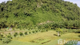 Land for sale in Sao Phao, Nakhon Si Thammarat