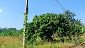 Land for sale in Wiang, Chiang Rai