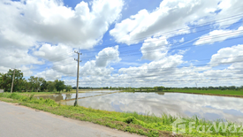 Land for sale in Ban Daen, Nakhon Sawan