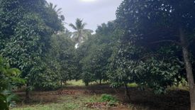 Land for sale in Lan Khoi, Phatthalung