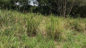 Land for sale in Nong Nam Daeng, Nakhon Ratchasima