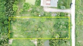 Land for sale in Bo Kwang Thong, Chonburi