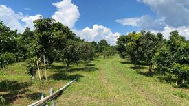 Land for sale in Thung Khao Phuang, Chiang Mai