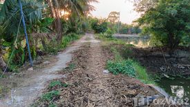 Land for sale in Bueng Ba, Pathum Thani