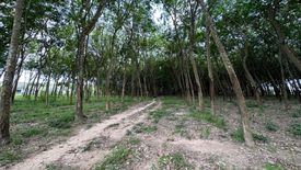 Land for sale in Nam Khok, Rayong