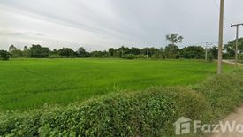 Land for sale in Nong Krot, Nakhon Sawan