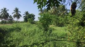 Land for sale in Don Faek, Nakhon Pathom