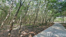 Land for sale in Nong Lalok, Rayong