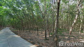 Land for sale in Nong Lalok, Rayong