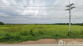 Land for sale in Tha Thonglang, Chachoengsao