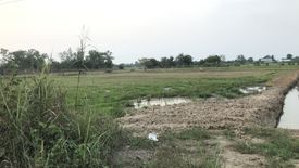 Land for sale in Nong Lum, Phichit