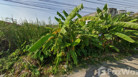 ขายที่ดิน ใน บางปรอก, เมืองปทุมธานี