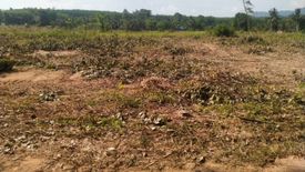 Land for sale in Nong Yai, Chonburi