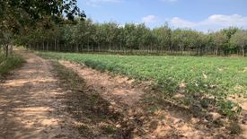 Land for sale in Phai, Yasothon