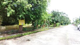 Land for sale in Nong Samet, Trat