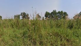 Land for sale in Phayom, Phra Nakhon Si Ayutthaya