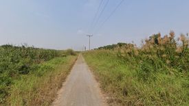 Land for sale in Phayom, Phra Nakhon Si Ayutthaya